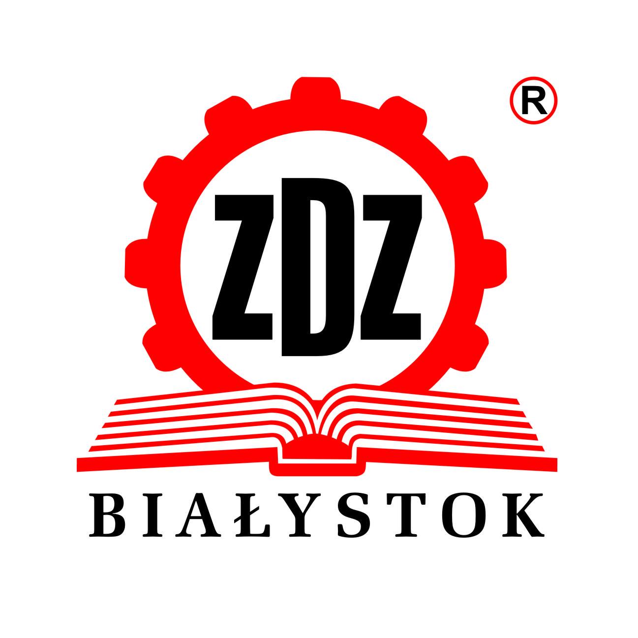 logo ZDZ